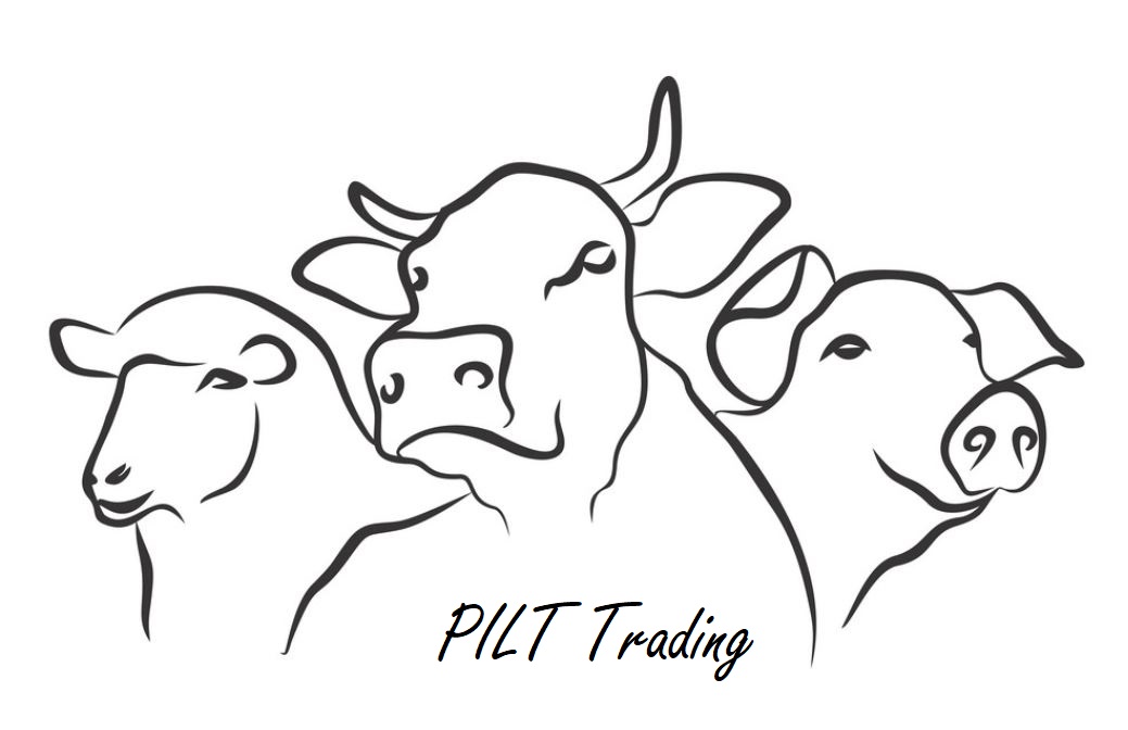 Esileht – PILT Trading OÜ