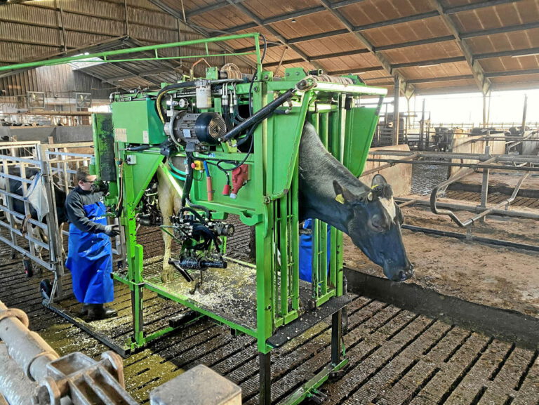 Sõrahaiguste vastu võideldakse tähelepanelikult ja süsteemselt