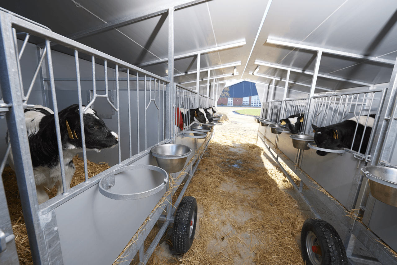 Mobiilsed vasikamajad - Image 3