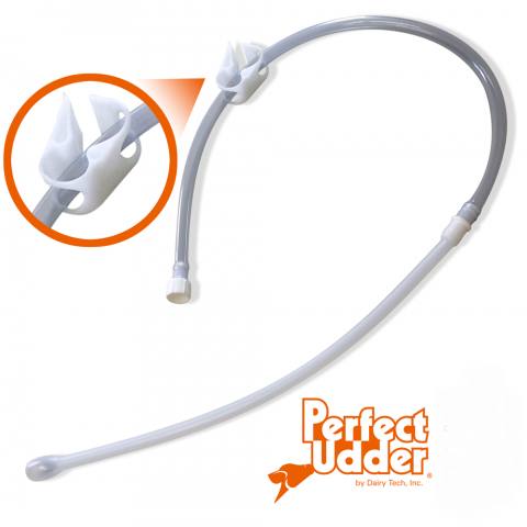 Ternespiima kotid ja tester - Image 2