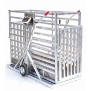 Bjerringbro vaegte vasikakaal