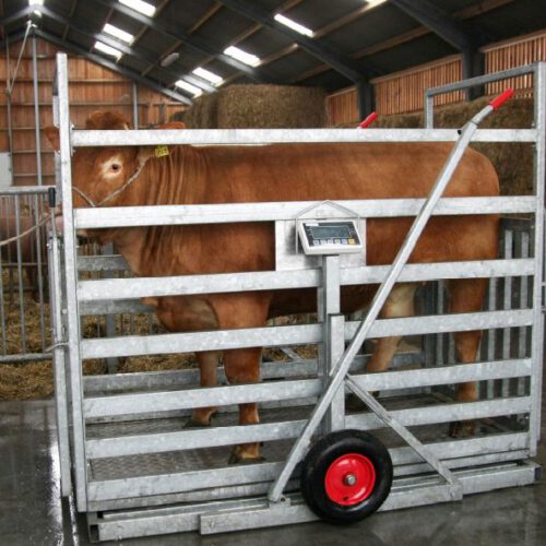 Bjerringbro vaegte lehmakaal