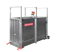 Meier-Brakenberg loomakaal "Special construction"